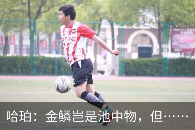 哈珀：金鳞岂是池中物，但……